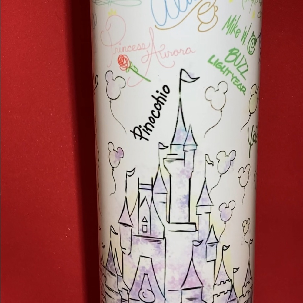 Disney Castle Themed Tumbler